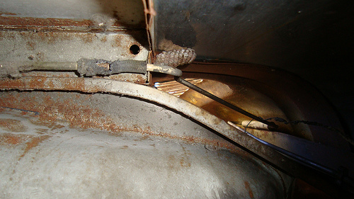 Image may have been reduced in size. Click image to view fullscreen.